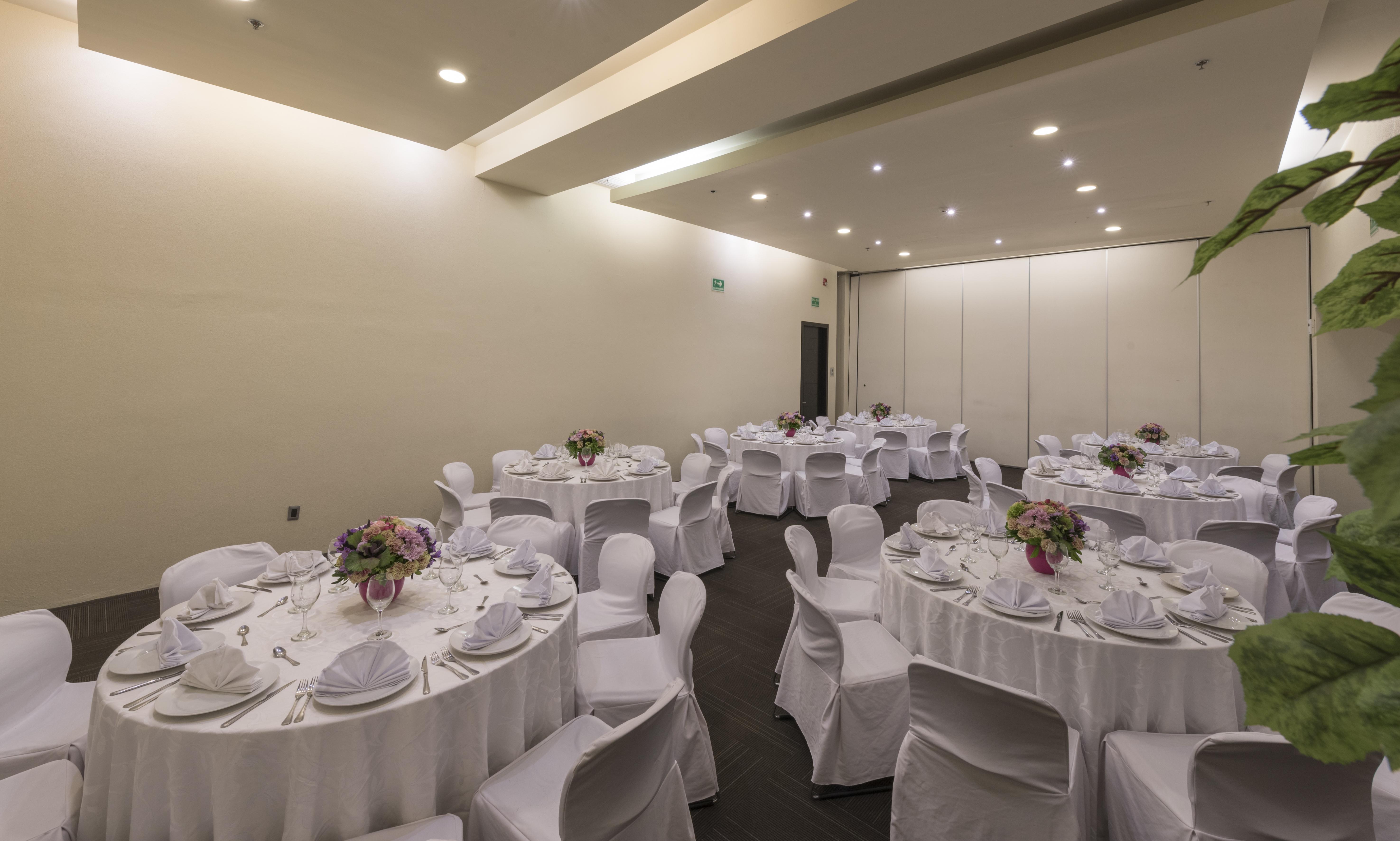 Victoria Ejecutivo Hotell Guadalajara Eksteriør bilde